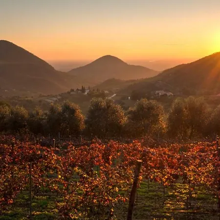Petrarca Holiday home Torreglia